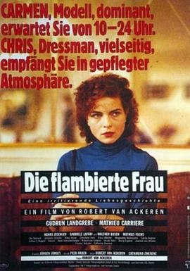 风中的火焰电视剧免费观看